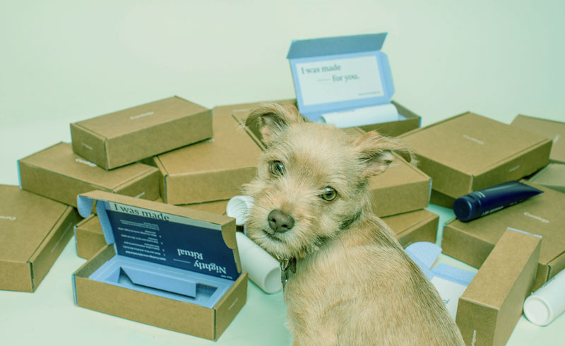 ecommerce-delivery.jpg