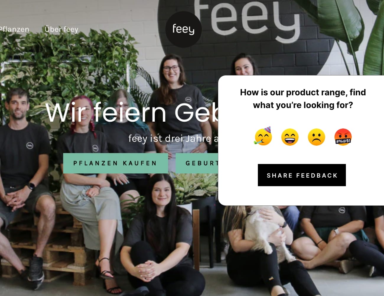 Support Business Performance and Growth Through Customer Surveys 