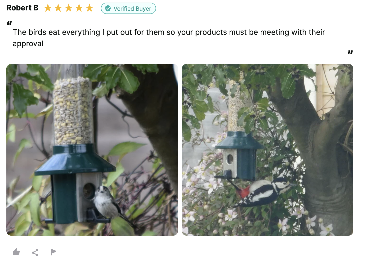 reviews of ivel valley collected by reviews.io